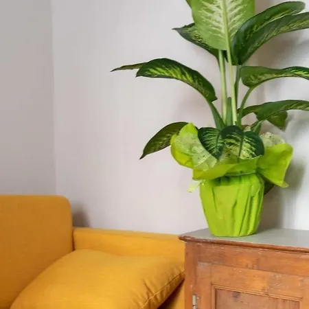 Appartement San Zanobi Family In *