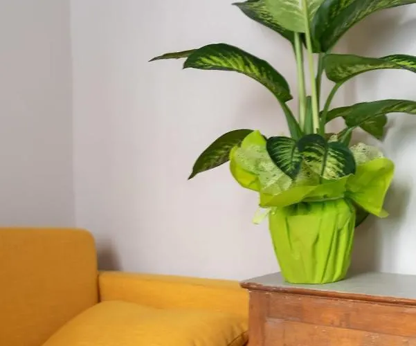 Appartamento Designer Near San Lorenzo *